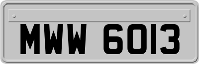 MWW6013