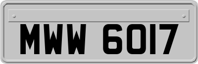 MWW6017