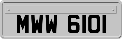 MWW6101