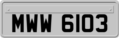 MWW6103