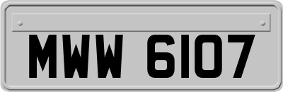 MWW6107