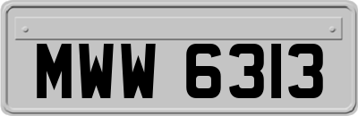 MWW6313