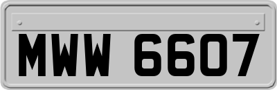 MWW6607
