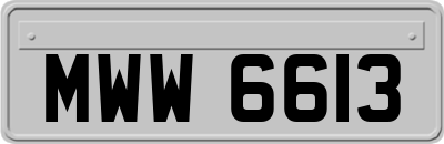 MWW6613