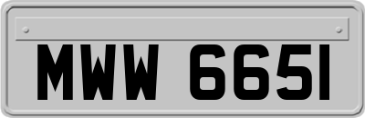 MWW6651