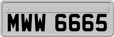 MWW6665