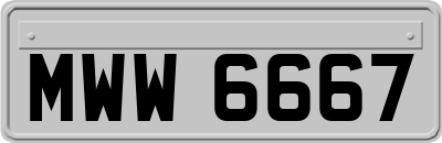 MWW6667