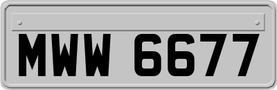 MWW6677
