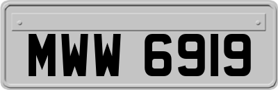 MWW6919