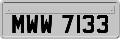 MWW7133