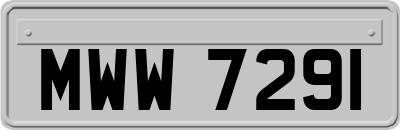 MWW7291