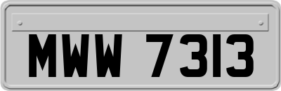 MWW7313