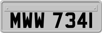 MWW7341