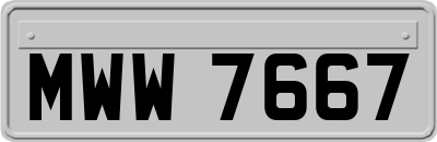 MWW7667