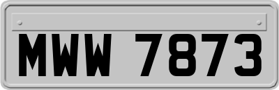 MWW7873