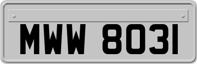 MWW8031