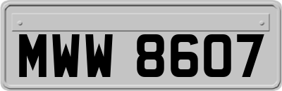 MWW8607
