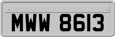 MWW8613