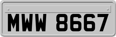 MWW8667