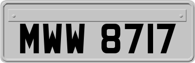 MWW8717