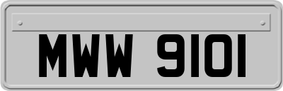 MWW9101