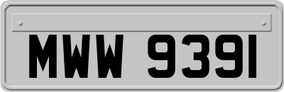 MWW9391