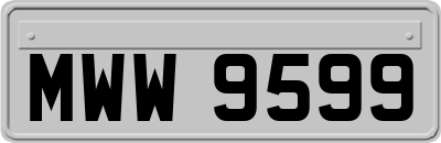 MWW9599