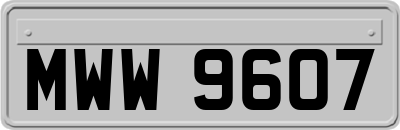 MWW9607