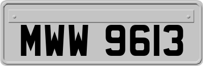 MWW9613