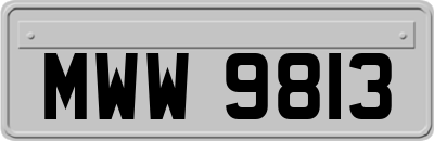 MWW9813