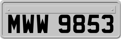 MWW9853