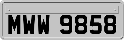 MWW9858