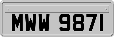 MWW9871