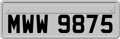 MWW9875