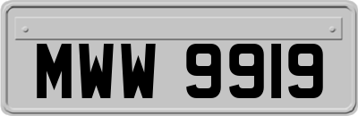 MWW9919