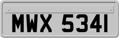 MWX5341
