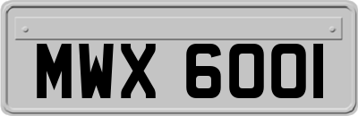 MWX6001
