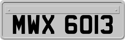 MWX6013