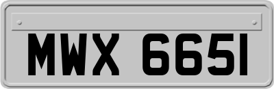 MWX6651