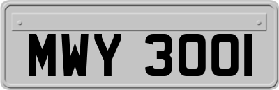 MWY3001