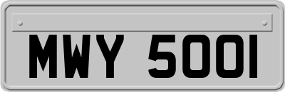 MWY5001