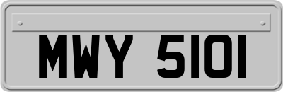 MWY5101