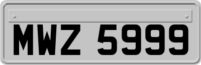 MWZ5999