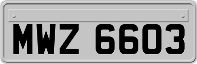 MWZ6603