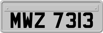 MWZ7313