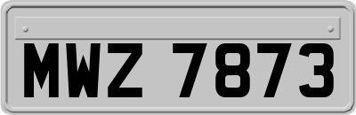 MWZ7873