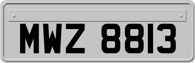MWZ8813