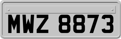 MWZ8873