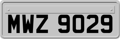 MWZ9029