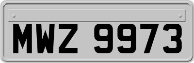 MWZ9973